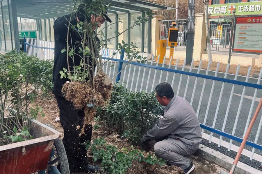 BG大游(中国)唯一官方网站